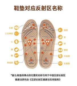 鞋：解锁足生物力学的秘密！千亿球友会首页足行健健康(图1)