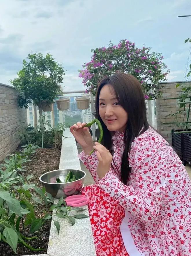 同是种菜差距大！一个接地气一个太做作千亿球友会40岁孙俪和51岁杨钰莹(图3)