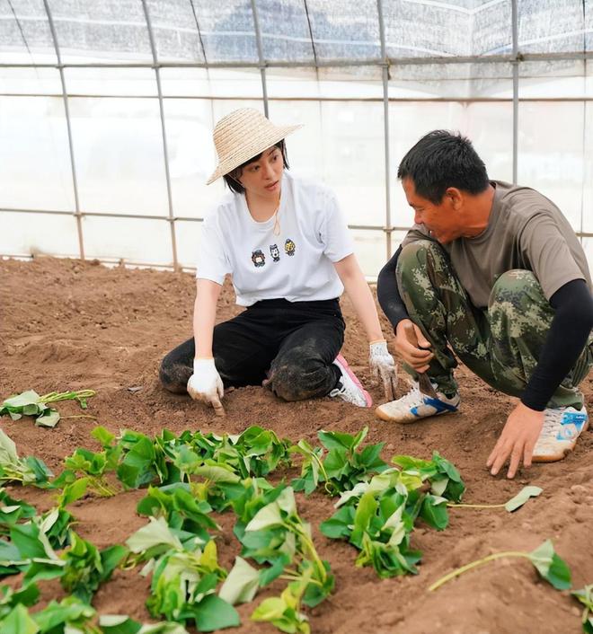 同是种菜差距大！一个接地气一个太做作千亿球友会40岁孙俪和51岁杨钰莹(图4)