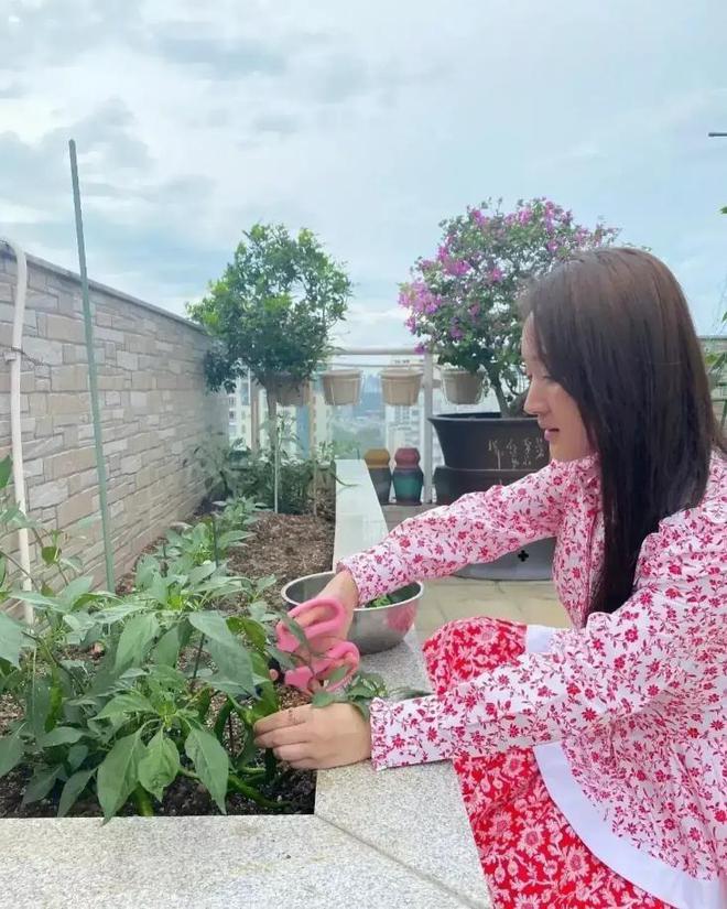 同是种菜差距大！一个接地气一个太做作千亿球友会40岁孙俪和51岁杨钰莹(图5)