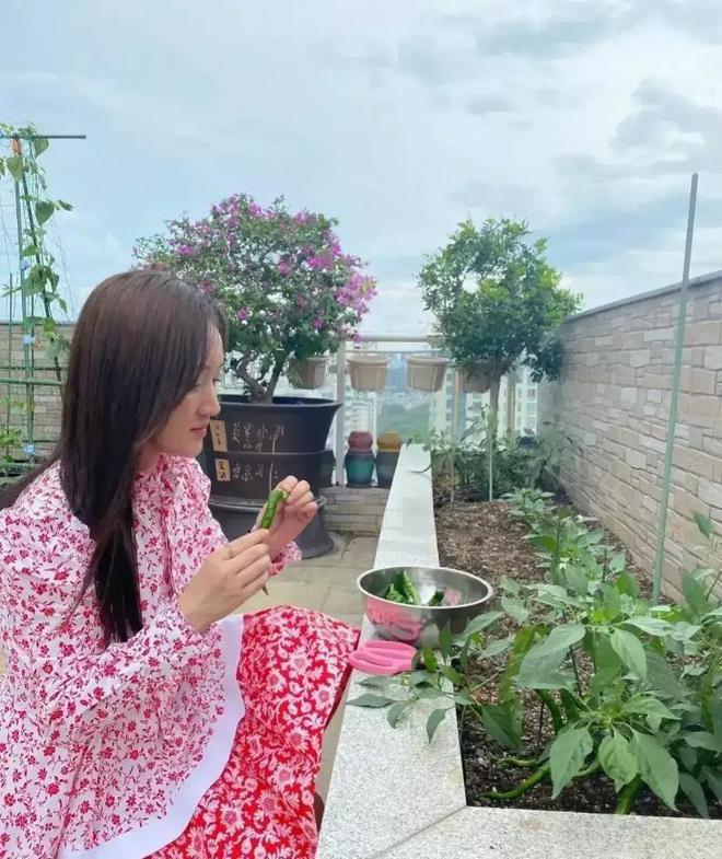 同是种菜差距大！一个接地气一个太做作千亿球友会40岁孙俪和51岁杨钰莹(图7)