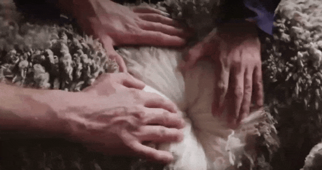 下无压力鞋底又轻又软久走久站不累脚399元抢！保暖还得羊毛鞋穿到零(图20)