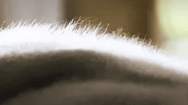 下无压力鞋底又轻又软久走久站不累脚399元抢！保暖还得羊毛鞋穿到零(图24)